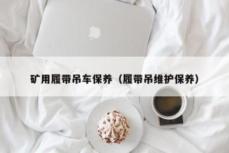 矿用履带吊车保养（履带吊维护保养）