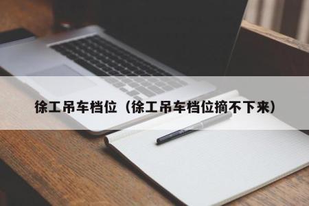 徐工吊车档位（徐工吊车档位摘不下来）